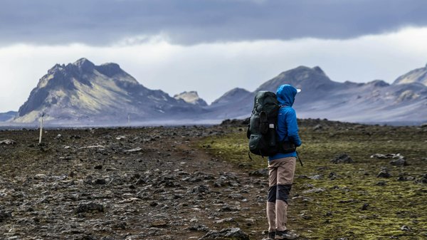 Où participer à une expédition en traineau à chiens en Laponie suédoise?